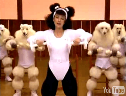 poodle-2 poodle-2
