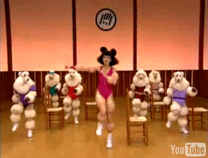 poodles-3 poodles-3