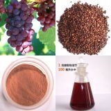 grape-seed-extract-95-opc