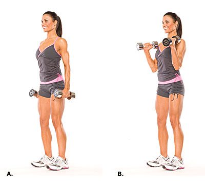 Bicep Hammer Curl