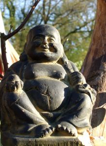 buddha buddha