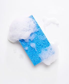 sponge