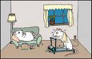mice mice