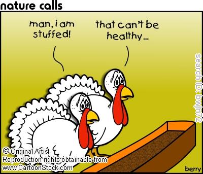 turkeys