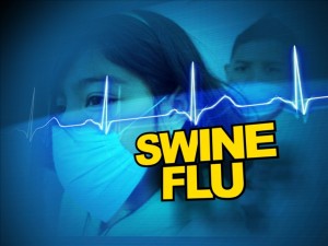 swine flu11 swine flu11
