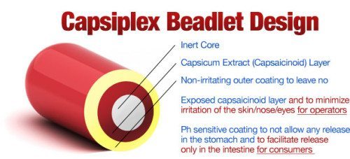 graphic-beadlet-design
