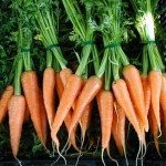 carrots
