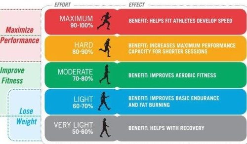moderate intensity exercise