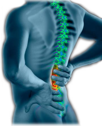 Back Pain?  Exercise Could Be The Simple Cure.