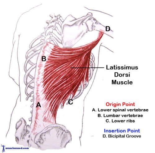 Fitness Tip For Nagging Back and Neck Pain - Fit Tip Daily